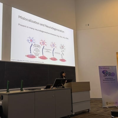 A SoNR conference 2025 presentation.