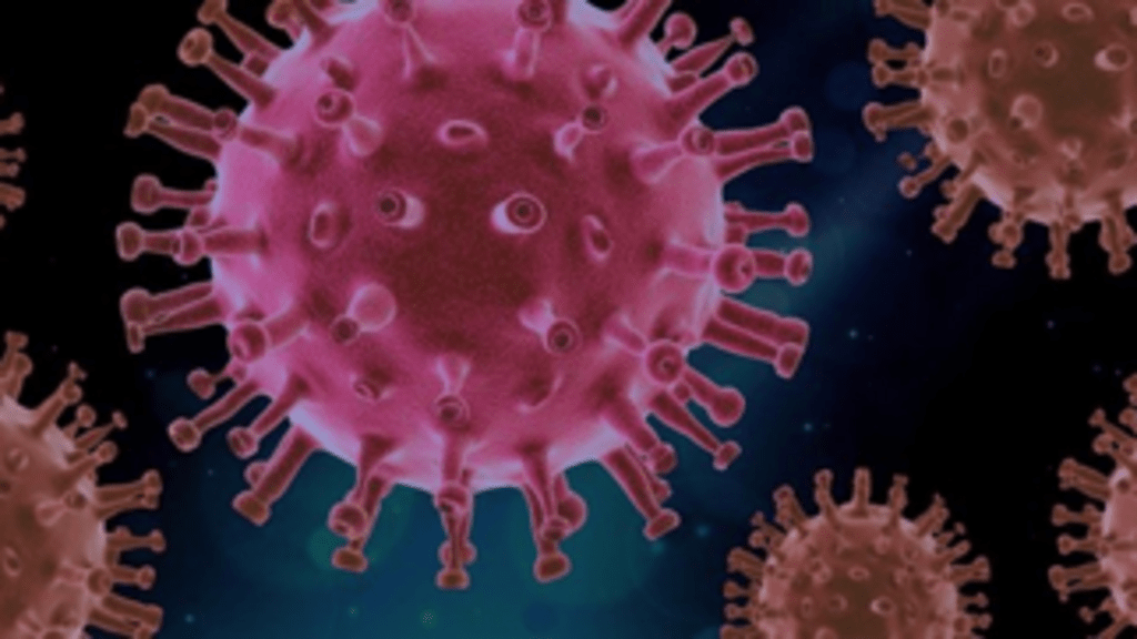SARS-CoV-2 virus image