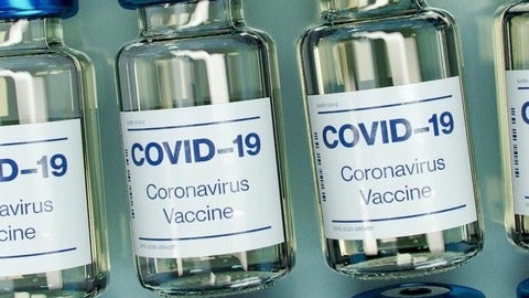 Vials of the COVID-19 vaccine lined up in a row