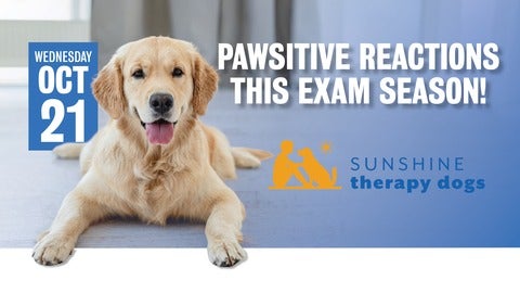 Dog laying on floor with text on the left "Paw-sitive reactions this exam season"