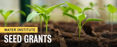 Text: Water Institute seed grants on image of seedlings