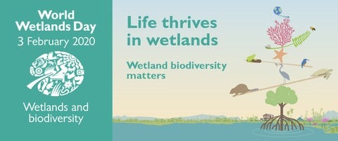 World Wetlands day banner image - life thrives in wetlands. Wetland biodiversity matters.