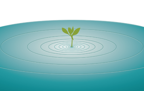 Cartoon of single plant surrounded by calm water.