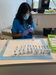 Pruntha Kanagasundaram filling a needle with vaccine