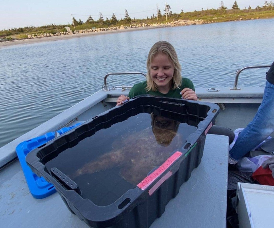 Maya looking at a monkfish she caught.
