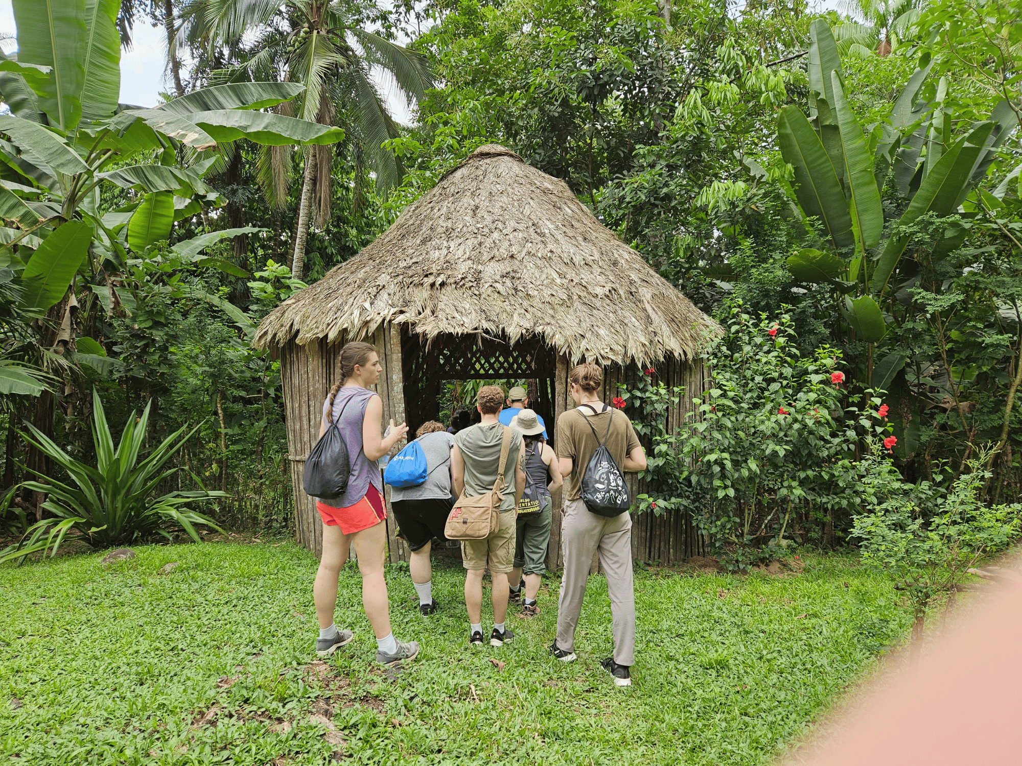 Students entering a hut near the rainforest.