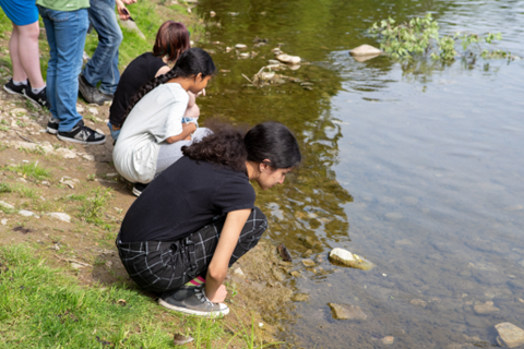 Students studying the water's edge.