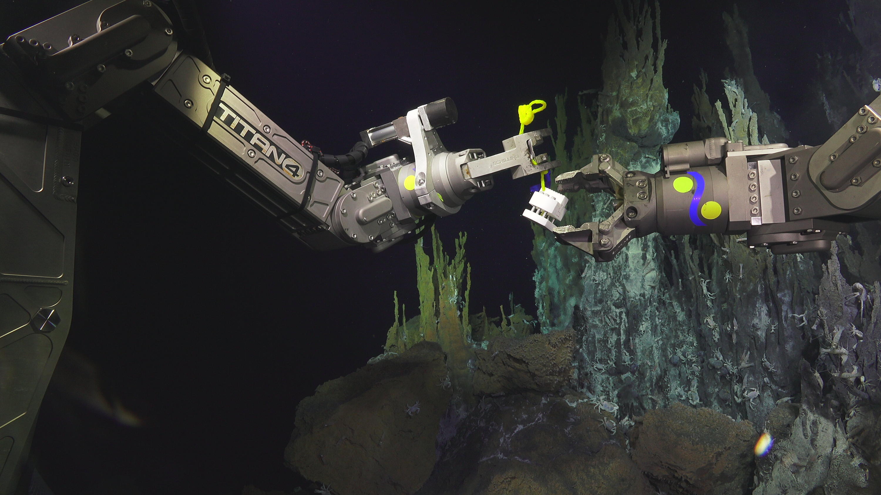 Remote Operating Vehicle arms holding a cube shaped sampling instrument. Background has blue hudrothermal vents covered in small crabs