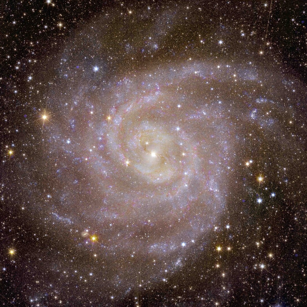 Spiral galaxy IC 342 captured by the Euclid satellite. 