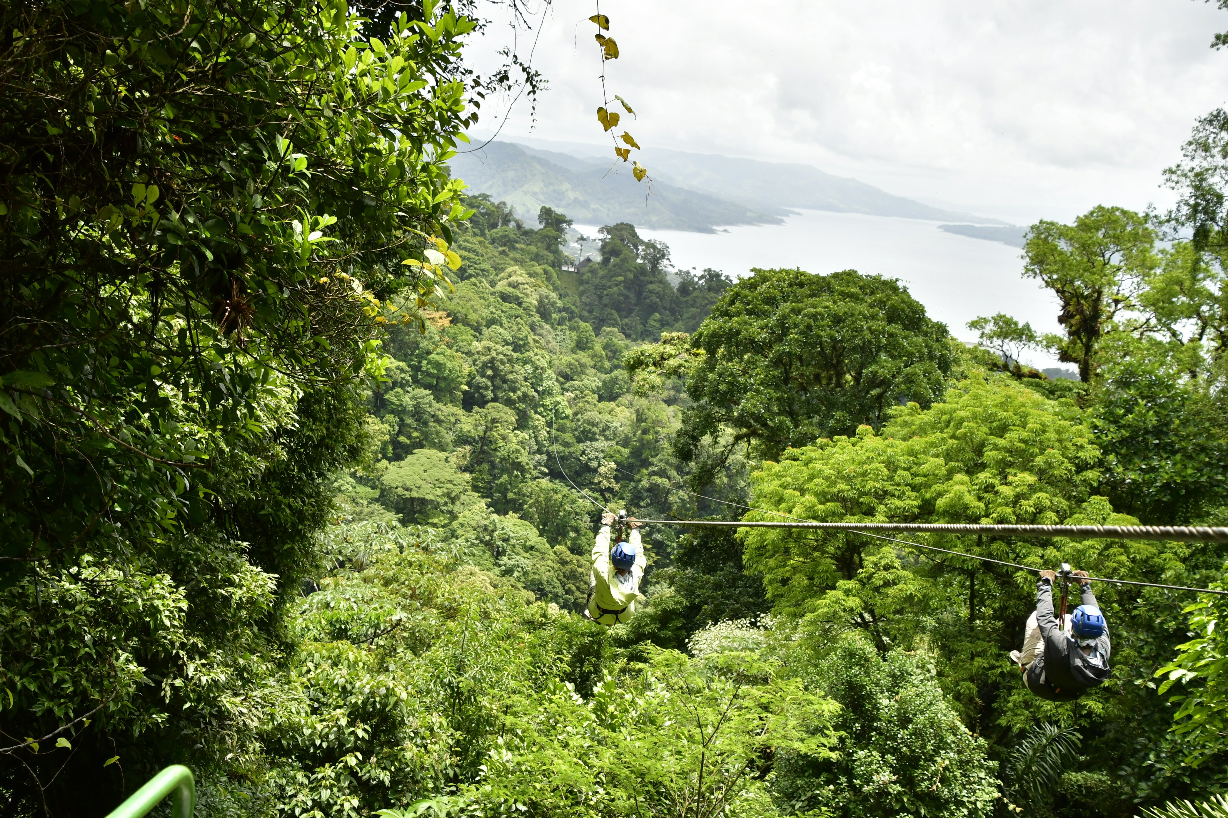 Two people ziplining above the rainforest of Costa Rica