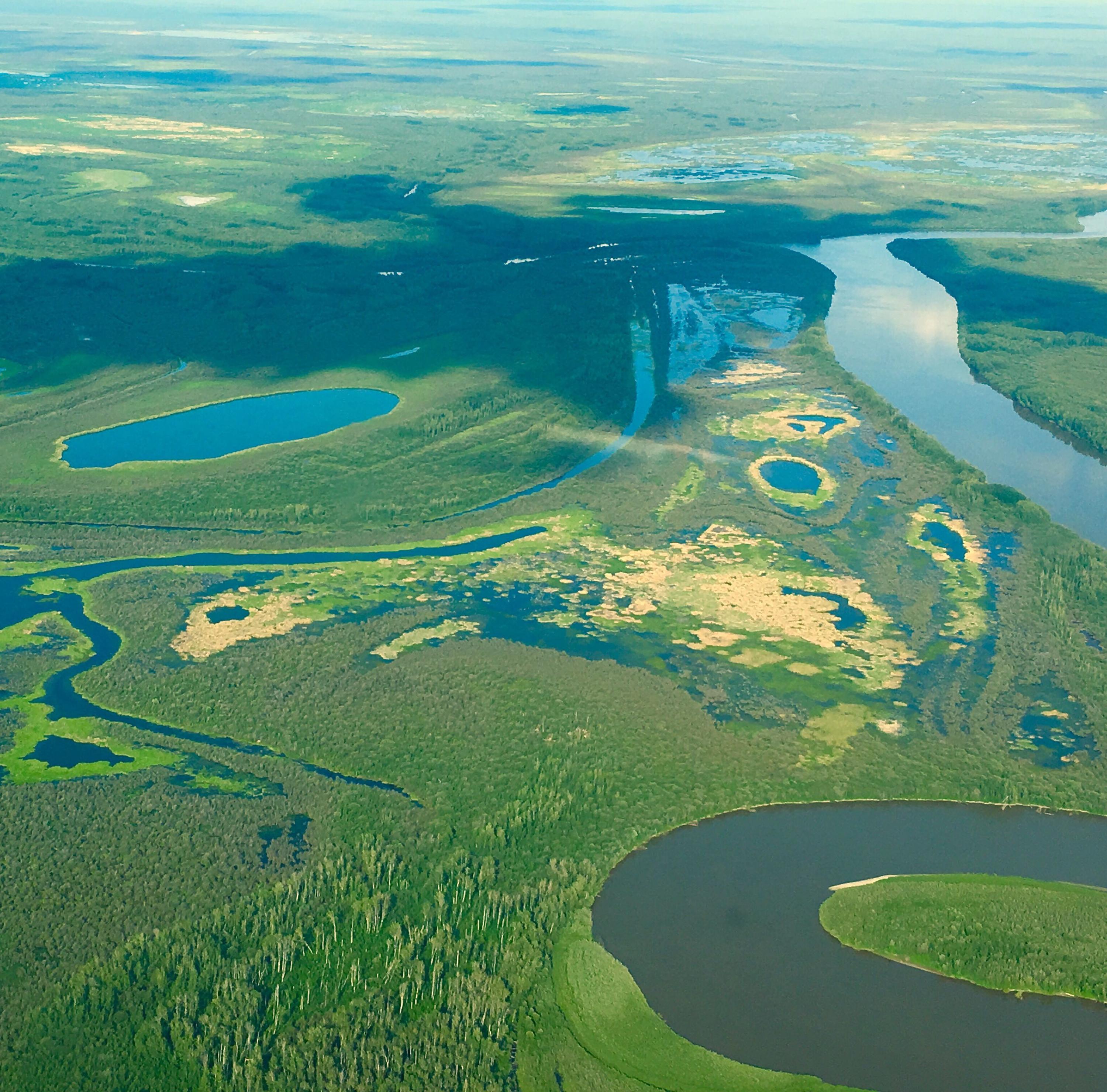 Peace-Athabasca Delta aerial view: a river winding through green marshy areas