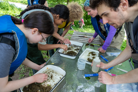 Students studying the bugs they collected with the help of instructors.