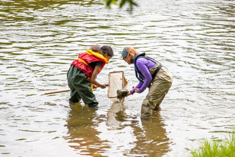 Students collecting bugs in the Grand River.