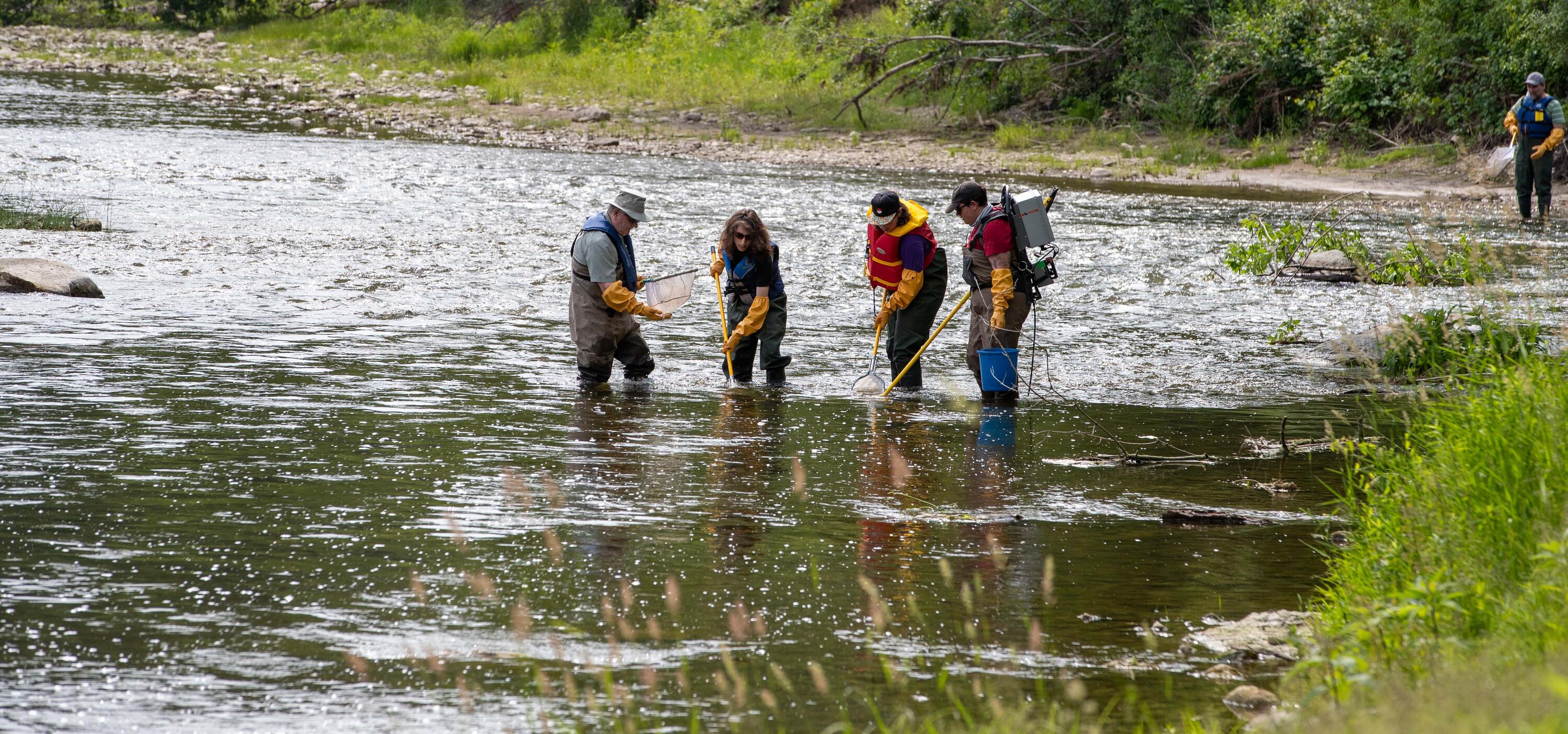 Professor and students standing with electrofishing gear in the river