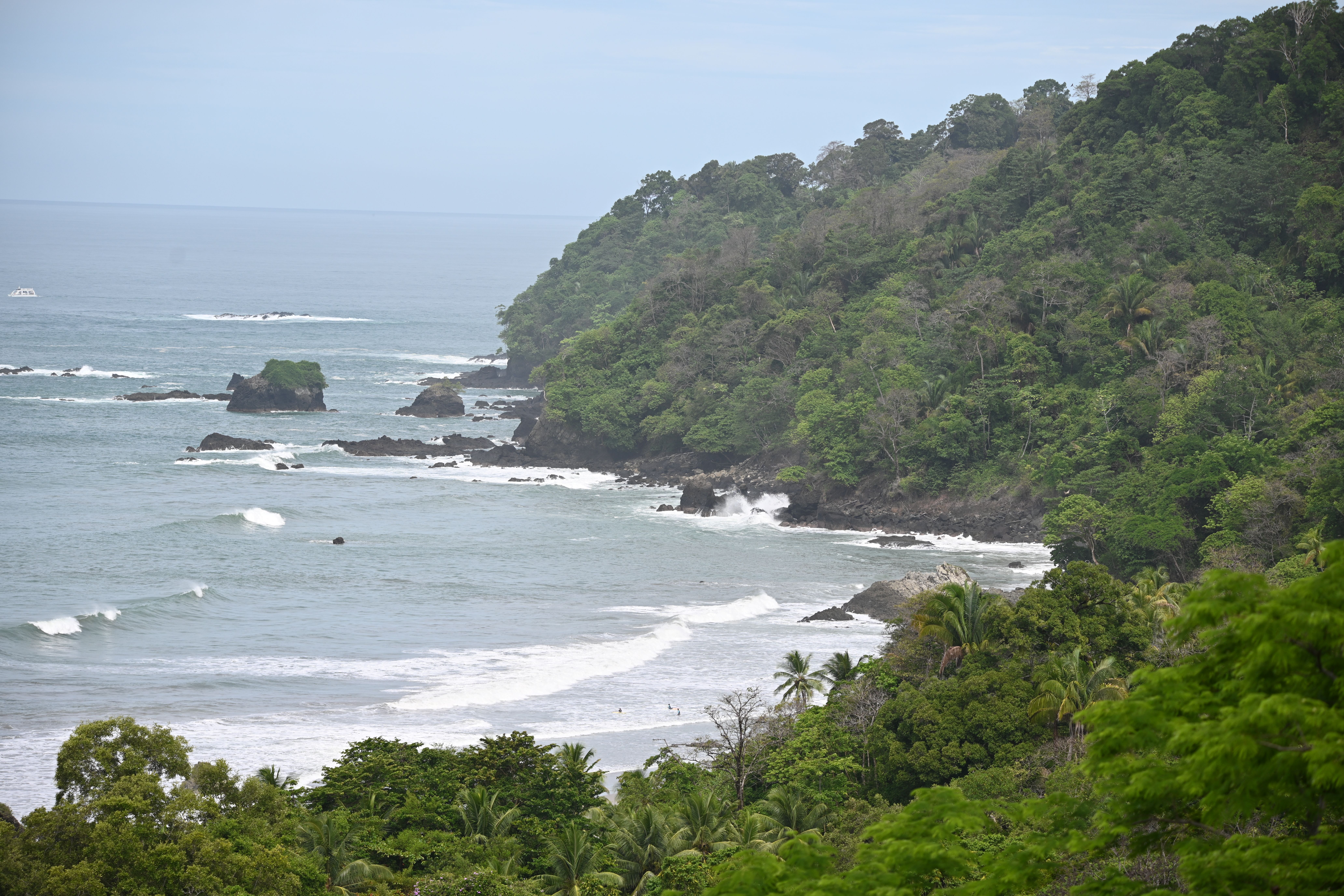 The shore of Costa Rica, with waves lapping onto a forest covered beach