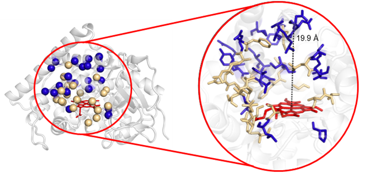 Figure 1 (see caption)