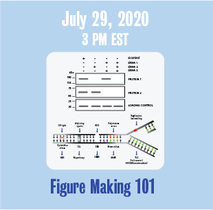 July 29, 2020 3 PM Figure Making 101 with medical illustration or figure