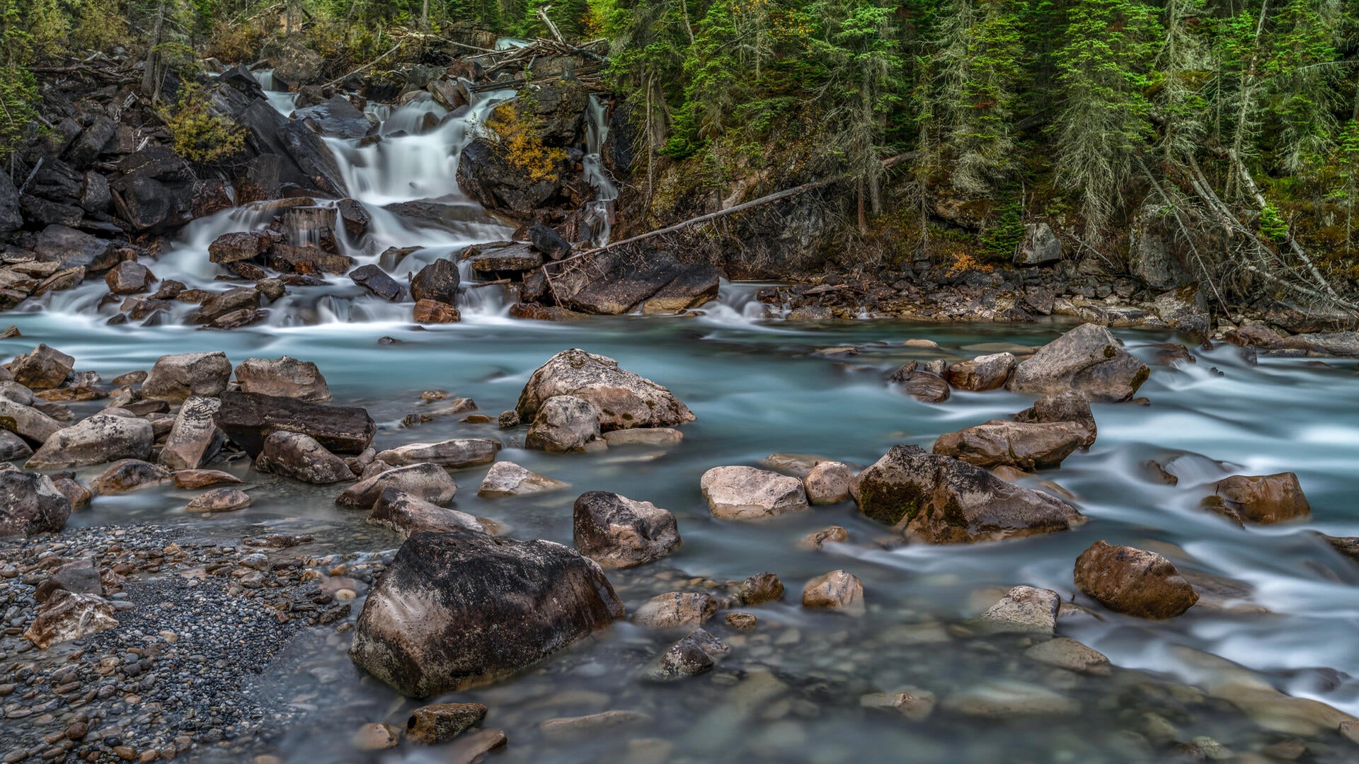 Stream flowing through rocks in a forest