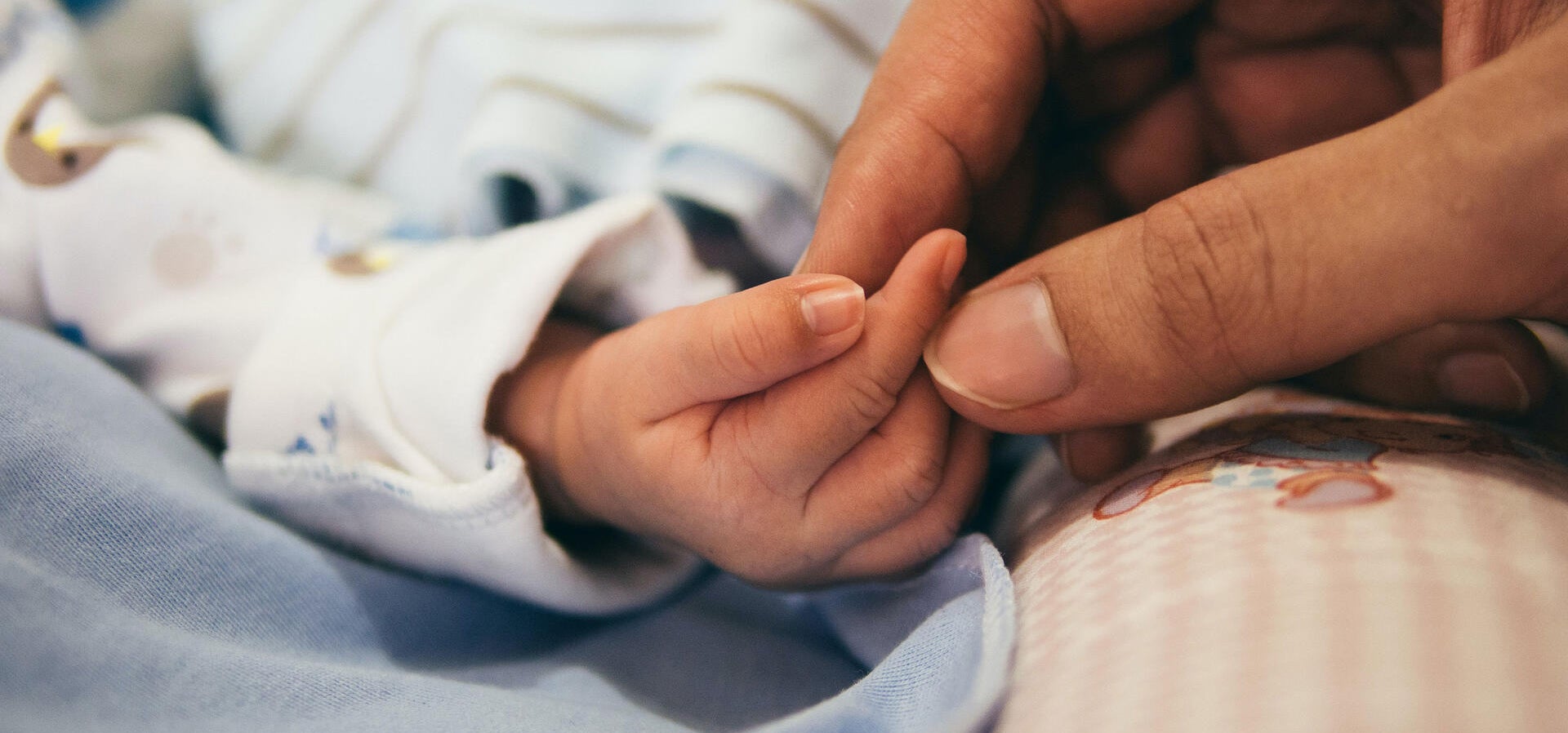 Stock image of adult hand holding infant's hand.