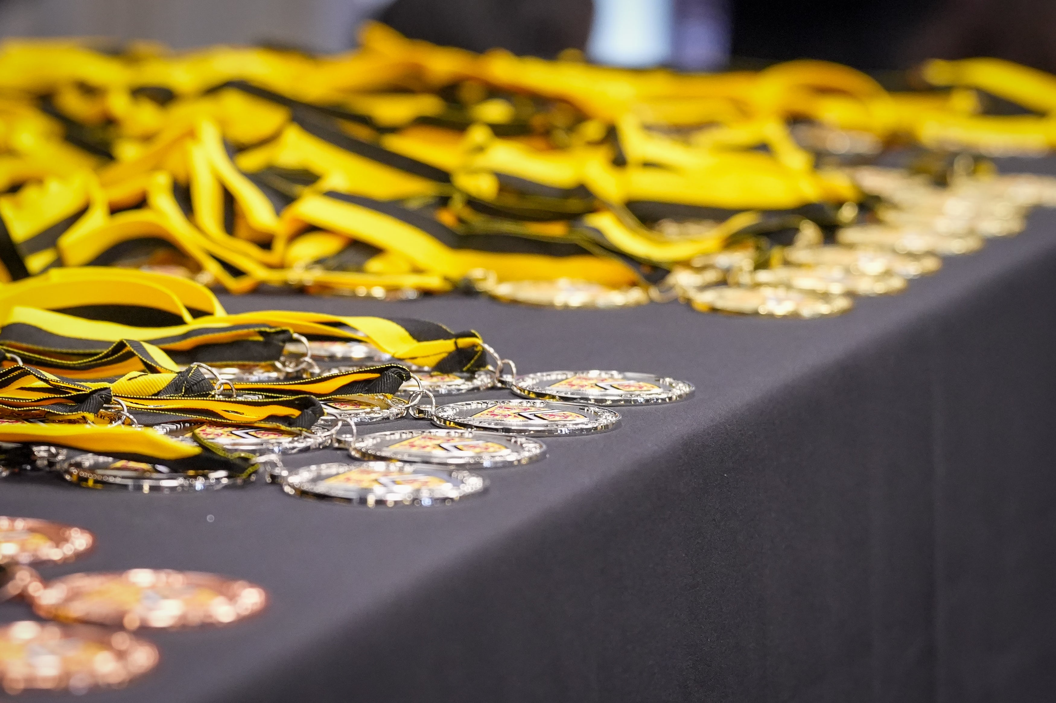 Medals displayed on table. 