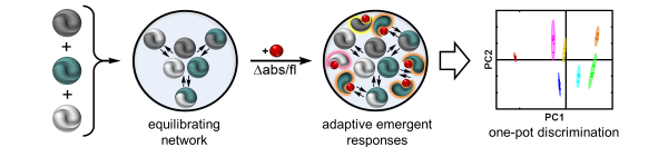 Figure from Dr. Hof's abstract: We deploy multiple hosts as an array of sensors that operate independently and that generate sample-specific fingerprints.