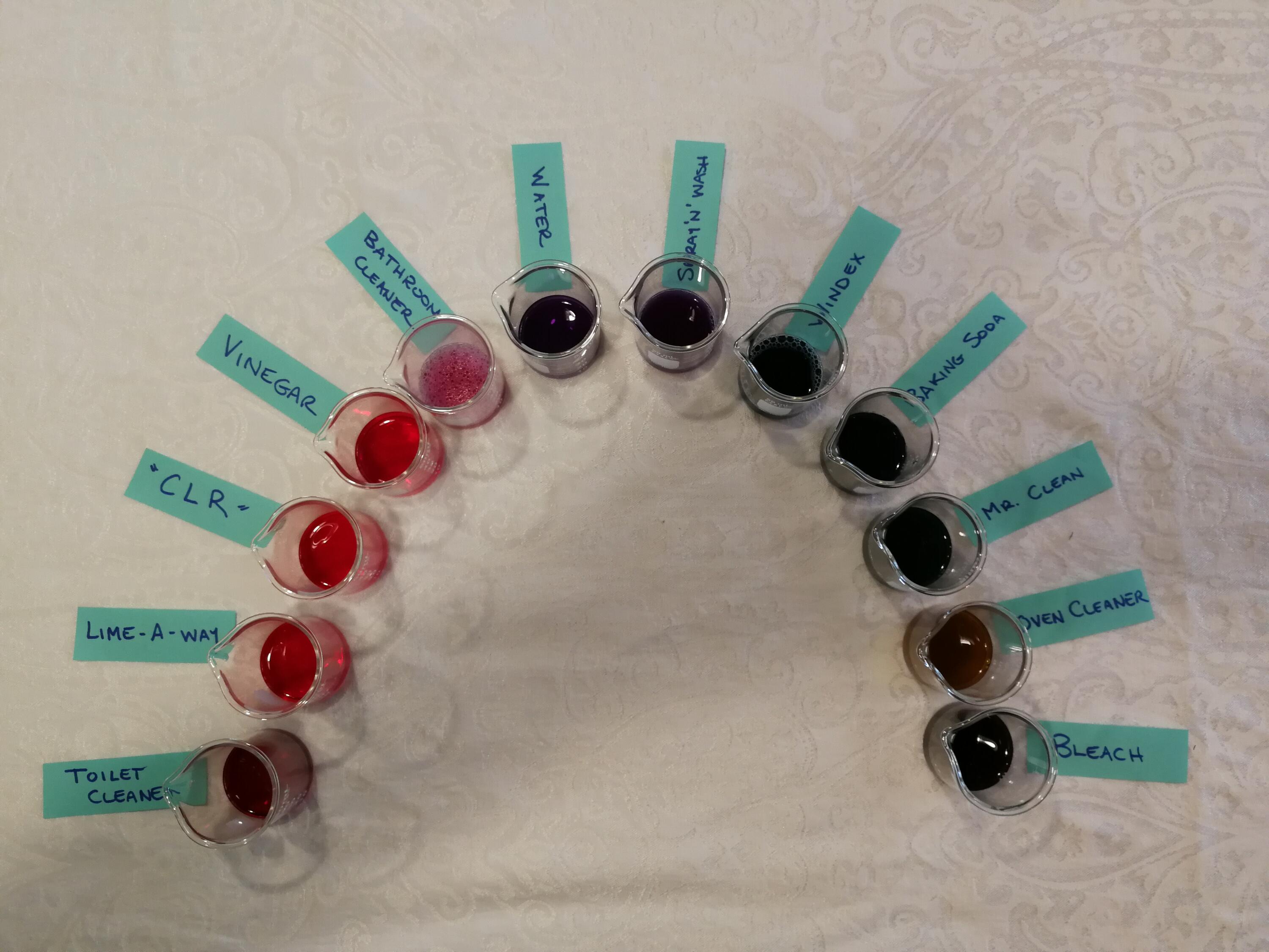 An array of colours showing the cabbage juice reaction with various liquids
