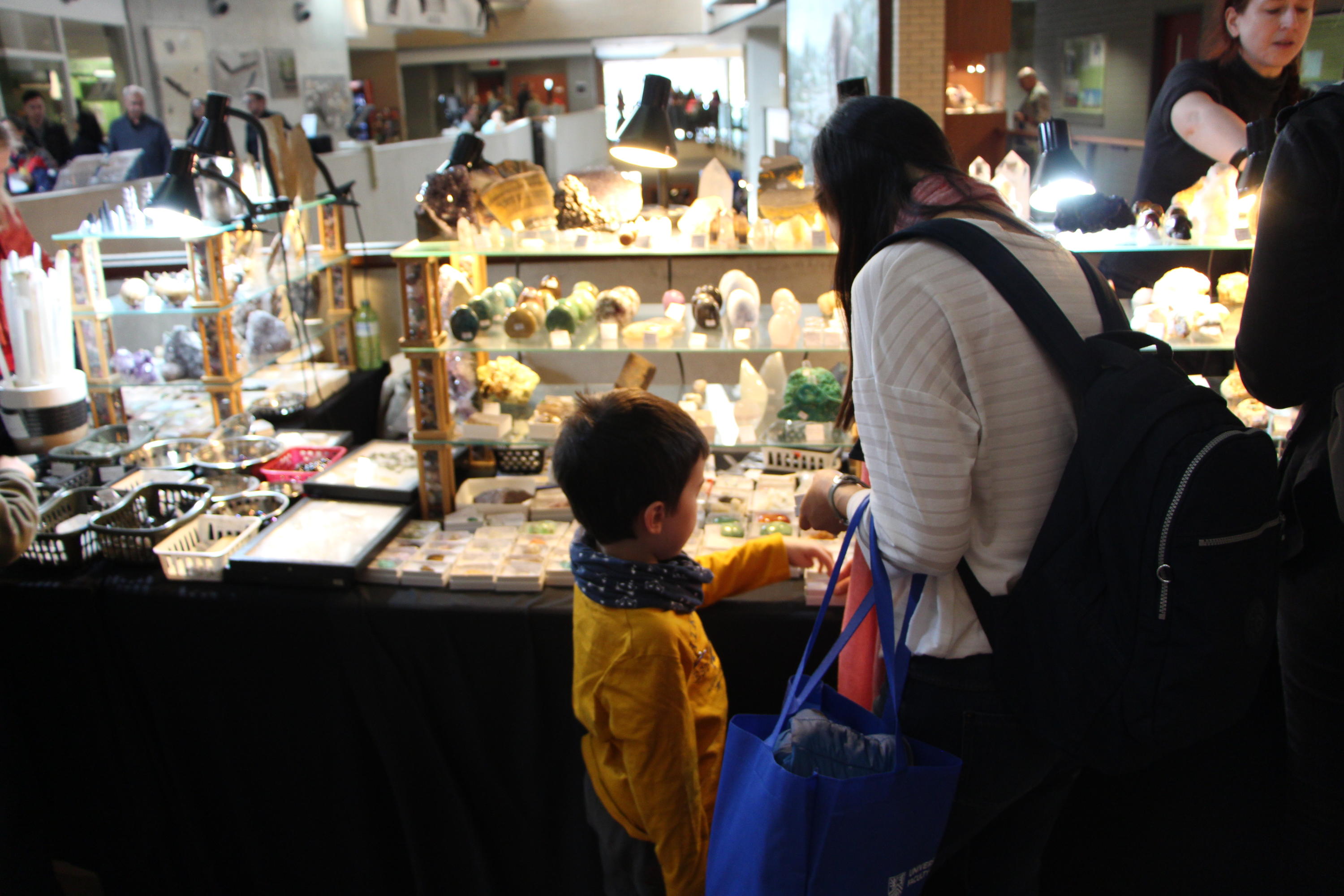 Child and parent looking at minerals at the Gem and Mineral Show.