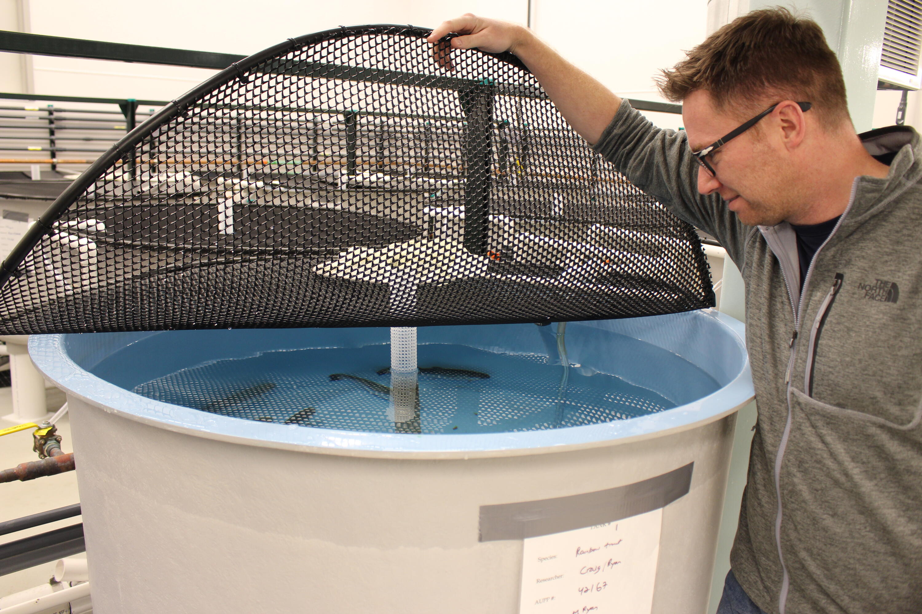 Professor Craig looks at fish in a tank at the new WATER facility