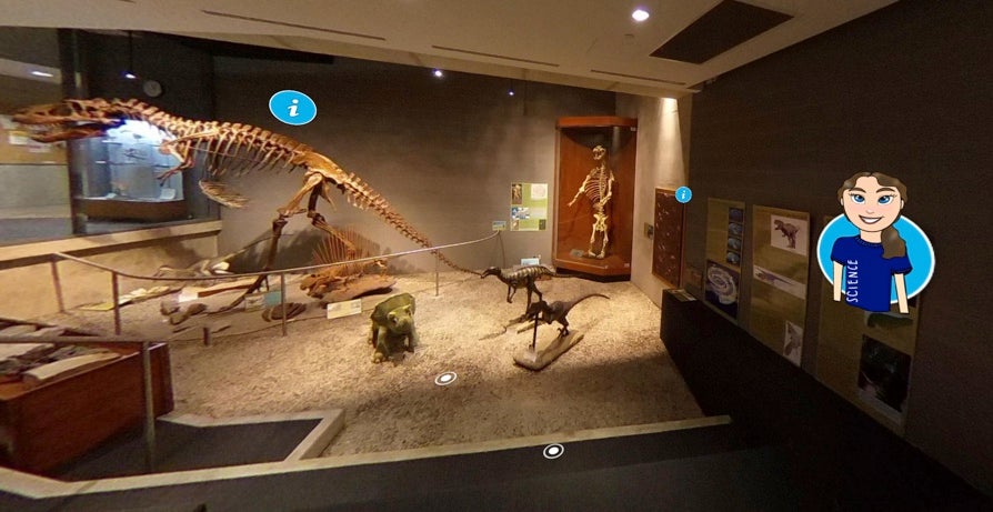 The dinosaur pit. Blue circles indicate areas with more information, and a cartoon tour guide is shown in on the left
