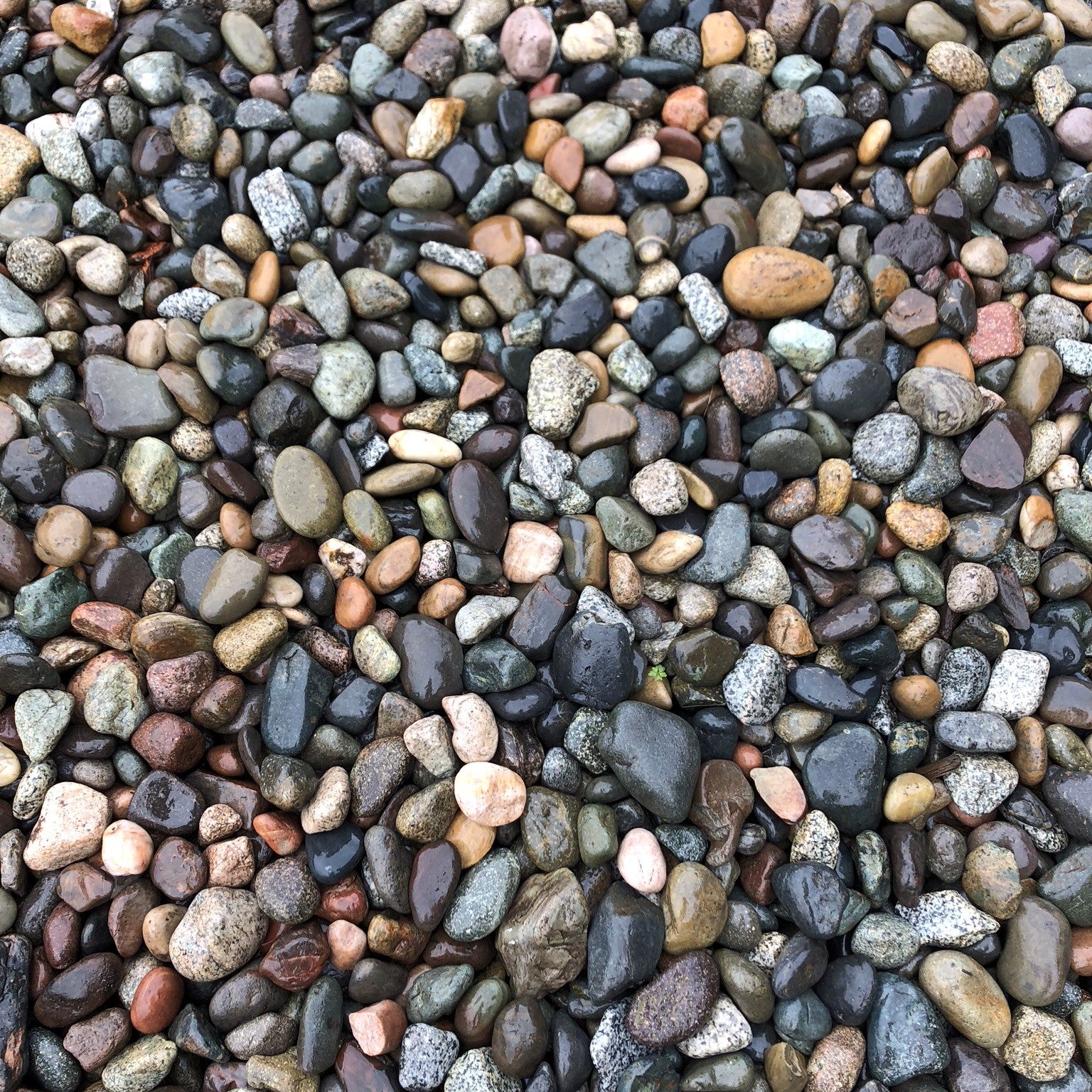 rocks and pebbles