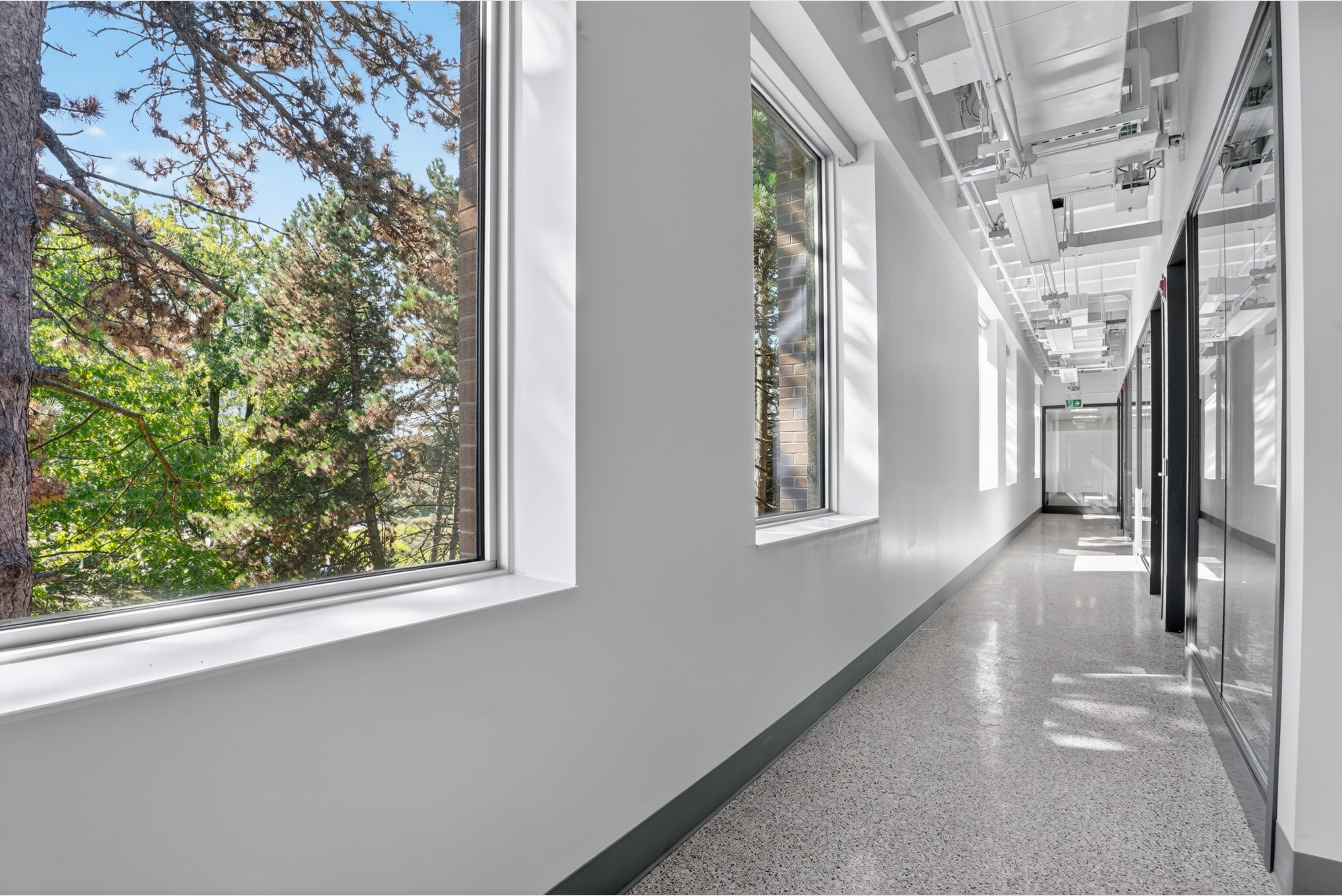 A hallway outside the new green labs in ESC. 