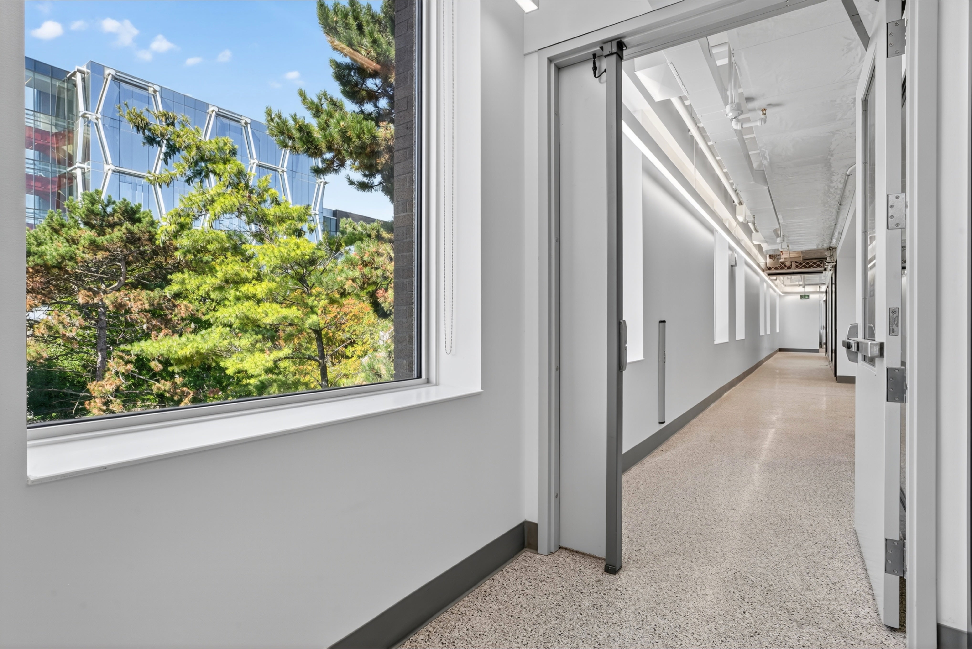 A hallway outside the new green labs in ESC. 