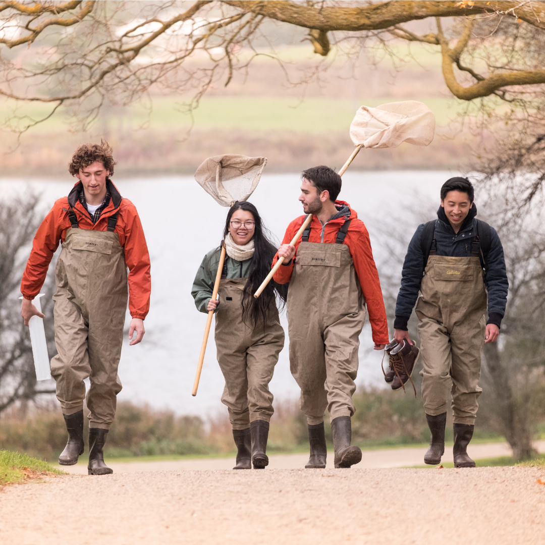 Four students walking towards a wetland in coveralls to do research. 