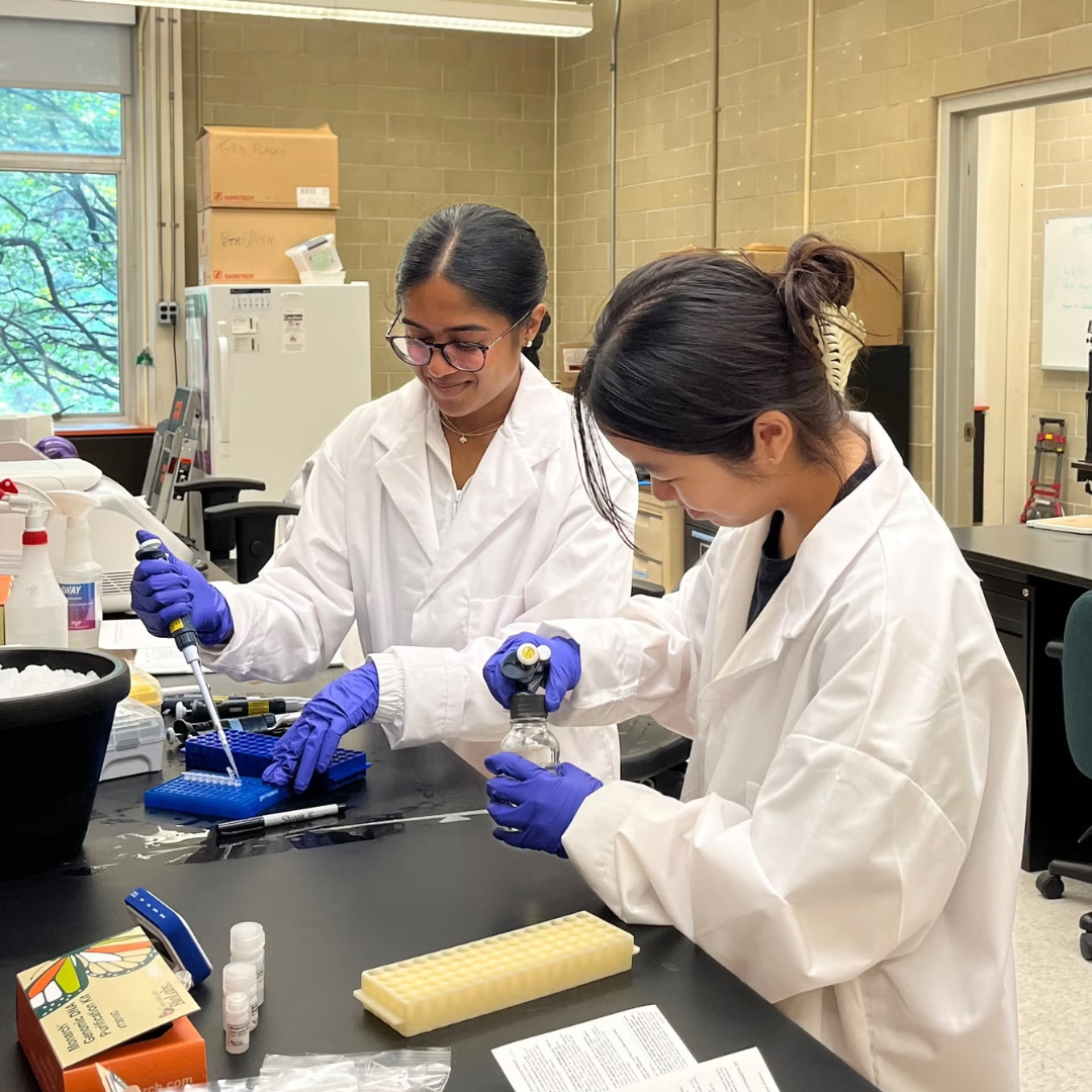 Two students pipetting in a science lab. 