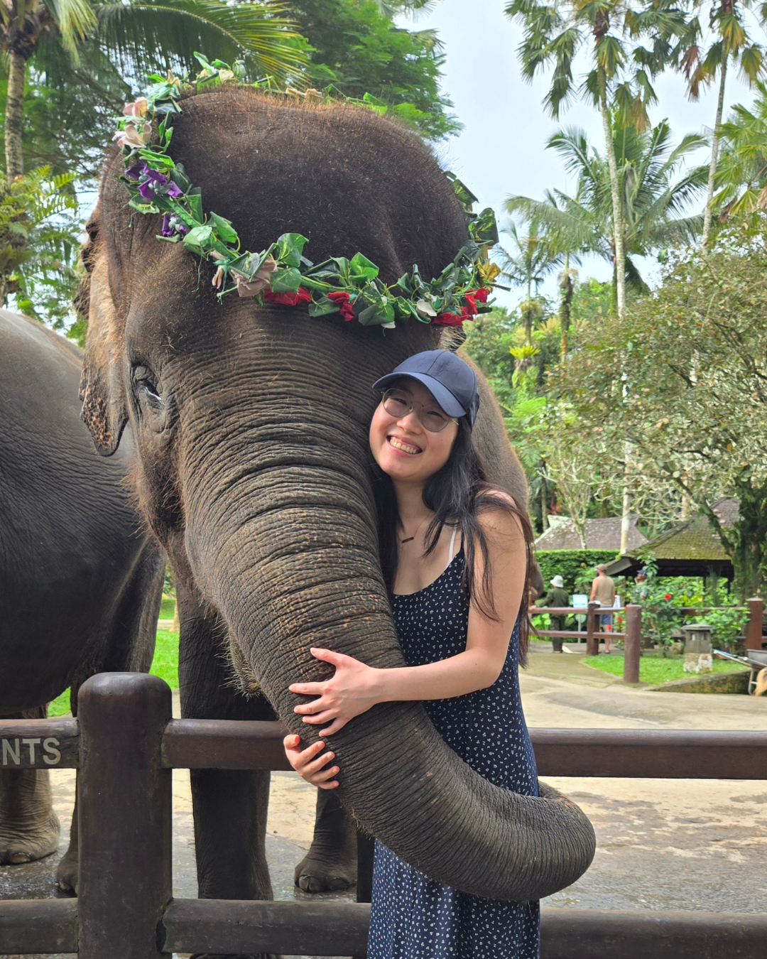 Tiffany has her arms wrapped around an elephant's trunk, outside at a zoo.