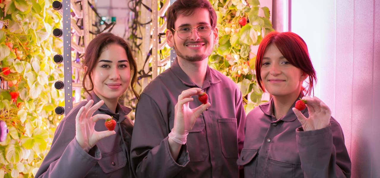 Three people in labcoats holding strawberries in a greenhouse.