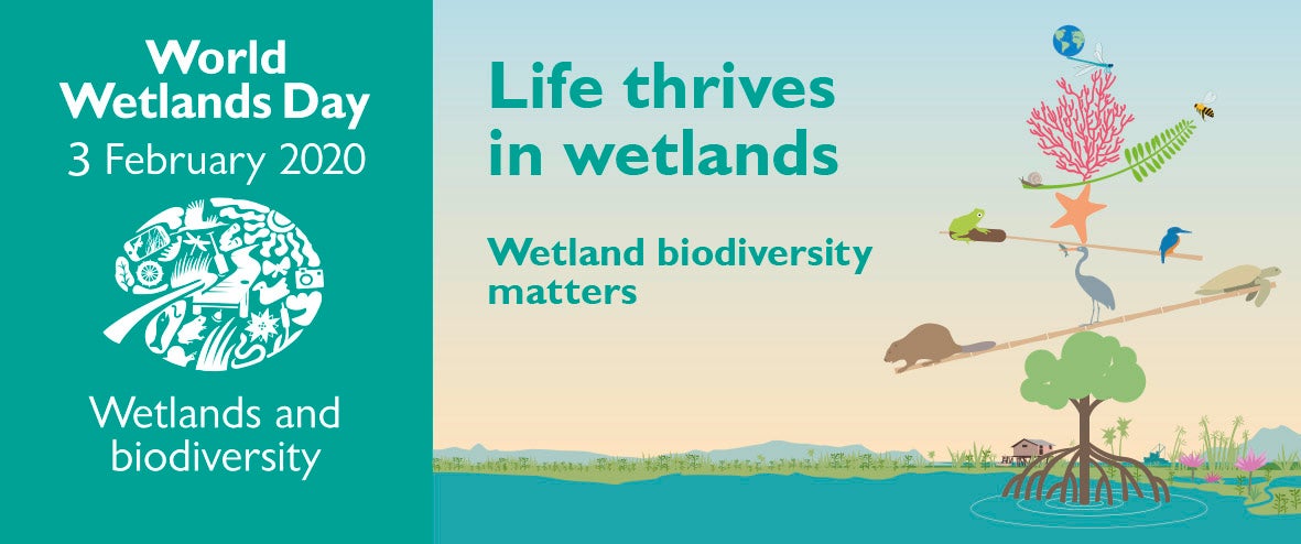 World Wetlands day banner image - life thrives in wetlands. Wetland biodiversity matters.