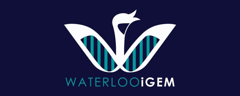 iGEM team logo, looks like an abstract bird