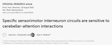 Specific sensorimotor interneuron circuits are sensitive to cerebellar-attention interactions