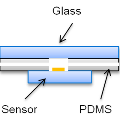 Figure 14: A simple representation of the Polydimethylsiloxane (PDMS) flow cell design