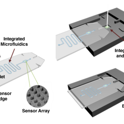Illustration showing the envisioned LSP based protein sensor integrated with simple microfluidics to form a sensor cartridge