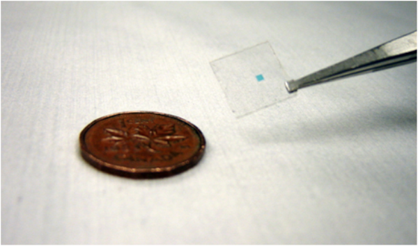 Figure 13: A size comparison between the chip (small blue square) and a penny