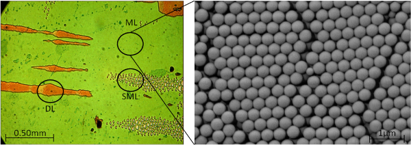 Figure 6: Optical image (left) and SEM image (right) of large area microsphere monolayer  used as mask for NSL