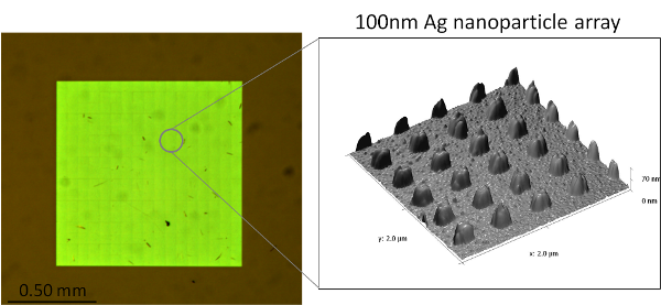 Figure 2: Optical microscope image (left) and AFM image (right) of an array of 100x100x50nm Ag nanoparticles fabricated by EBL