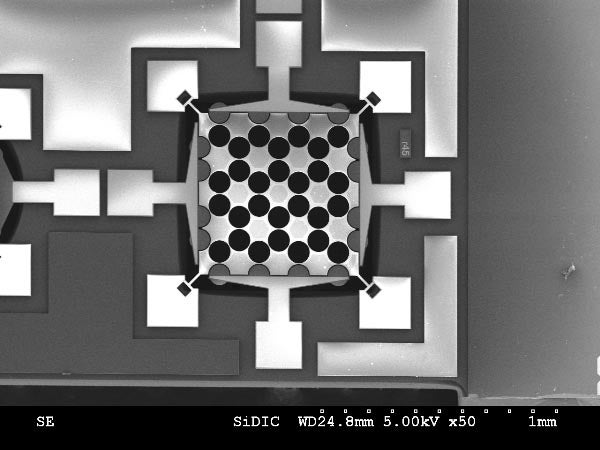 Figure 1: Scanning electron micrograph of one of our electrostatically actuated Phononic bandgap crystals
