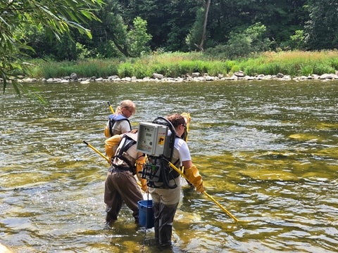 Students electrofishing for rainbow darter in the Grand River