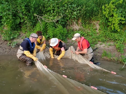 Mark and students seining