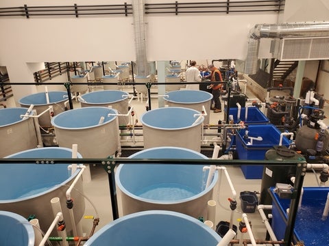 Wetlab
