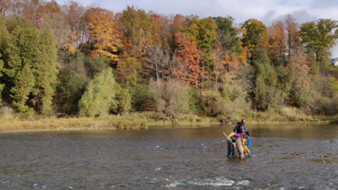 Graduate students electrofishing for Rainbow Darter in the Grand River