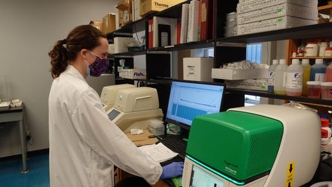 qPCR